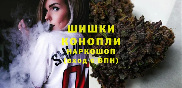 Альфа ПВП Осинники