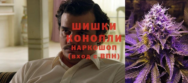 ALPHA PVP Остров