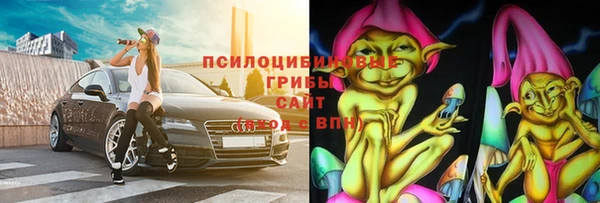 ALPHA PVP Остров