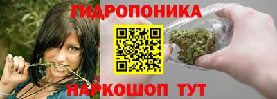 mdpv Гай