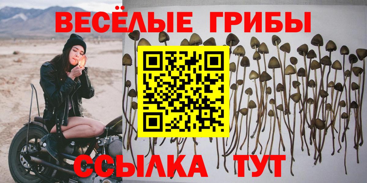 Анапа  наркота  Галлюциногенные грибы Psilocybe  Вход с VPN  Галлюциногенные грибы мицелий 